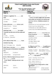 English Worksheet:  2010-2011 EDUCATIONAL YEAR 1st English Examination for Anatolian High Schools, Grade 11