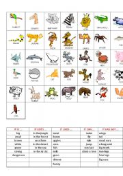 English Worksheet: Guess the animal