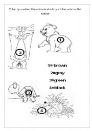 English worksheet: hibernation - animals