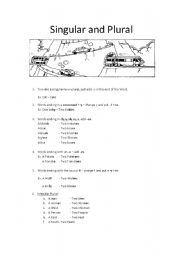 English worksheet: Singular and plural