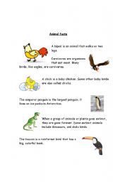 English worksheet: Animal facts