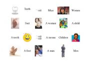 English worksheet: Irregular Noun Plurals Match up 