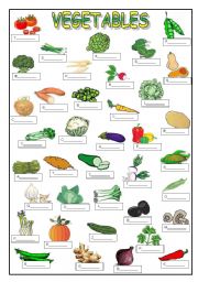 VEGETABLES (KEY IS INCLUDED)
