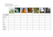 English worksheet: Jungle animals