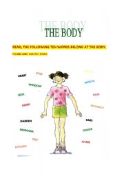 the body