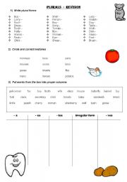 English Worksheet: Plurals - revision