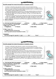 English worksheet: Food customs