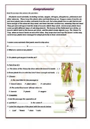 English Worksheet: carnivorous plants