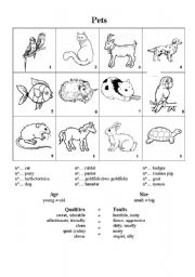 English Worksheet: Pets