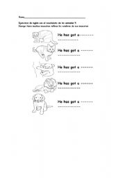 English worksheet: animals