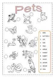 English Worksheet: My Pets