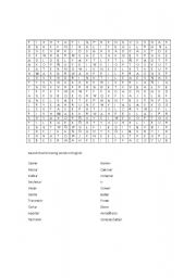 English Worksheet: animals
