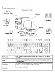 English Worksheet: Computer