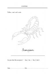 English worksheet: Scorpions 1