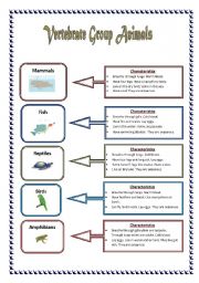 Vertebrate group animals