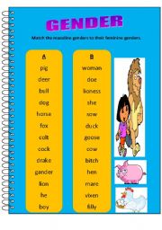 English Worksheet: Gender