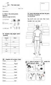 English Worksheet: parts of the body test
