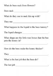 English Worksheet: bees comprehension