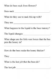 English worksheet: bees comprehension