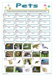 English Worksheet: Pets