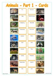 Animals - Part 1 - Cards