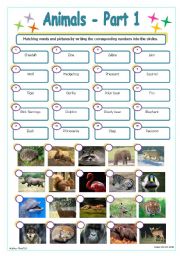 English Worksheet: Animals - Part 1