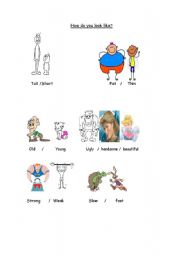 English Worksheet: Adjective