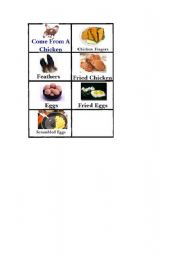 English Worksheet: come from a chicken