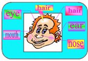 English worksheet: face