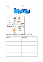 English worksheet: My five senses