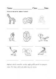 English worksheet: animals