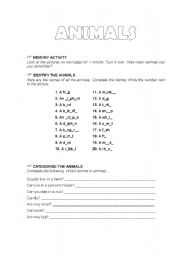 English worksheet: Animals