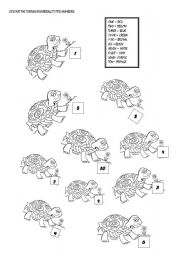 Colour the turtles