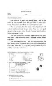 English Worksheet: Polar bears