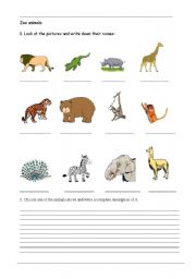 English Worksheet: wild life