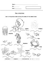 sea creatures for pre schoolers