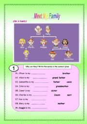 English Worksheet: Meet my family