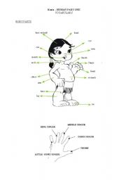 English Worksheet: body parts and human description