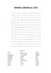 English Worksheet: WORDSEARCH