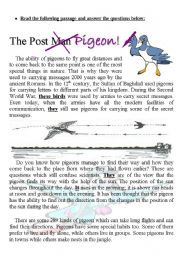 The Post Pigeon