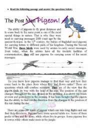 English Worksheet: The Post Pigeon