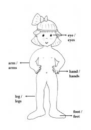 English Worksheet: human body