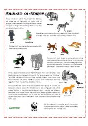 English Worksheet: animals in danger