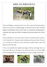 African Wild Dogs - Reading Comprehension - ESL worksheet by ihitz