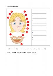 English Worksheet: Our Face