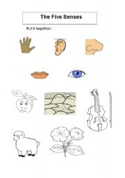 English worksheet: The Five Senses