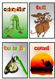 English Worksheet: animals