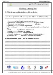 English worksheet: vocabulary and Writing QUIZ