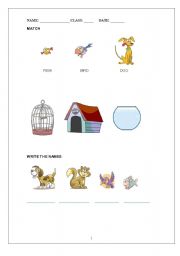 English Worksheet: beginner worksheets