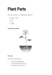 English Worksheet: The parts of a plant
